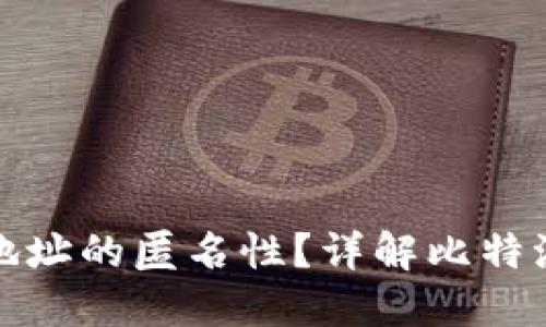 如何实现比特派地址的匿名性?详解比特派的隐私保护机制