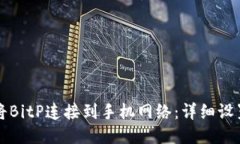 如何将BitP连接到手机网络:详细设置指南