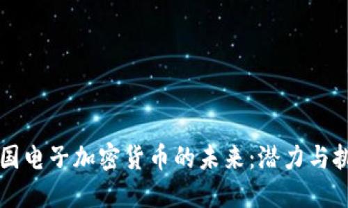 美国电子加密货币的未来：潜力与挑战