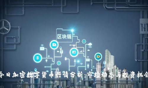 今日加密数字货币行情分析：市场动态与投资机会