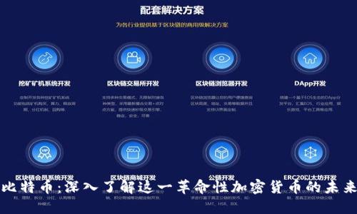 比特币：深入了解这一革命性加密货币的未来