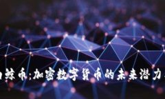 深入解析白鲸币：加密数字货币的未来潜力与投