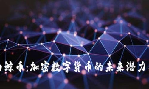 深入解析白鲸币：加密数字货币的未来潜力与投资价值