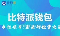 深入解读加密货币性项目：未来的投资之道还是
