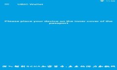 深入解析BCHA加密货币：未来的潜力和挑战