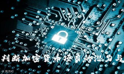 如何判断加密货币项目的潜力与风险