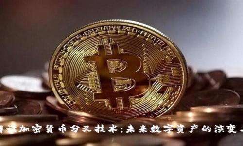全面解读加密货币分叉技术：未来数字资产的演变与机会
