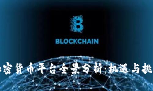 中国加密货币平台全景分析：机遇与挑战并存