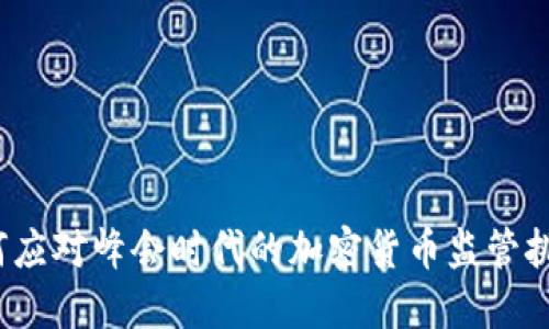 如何应对峰会时代的加密货币监管挑战？