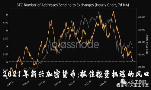 2021年新兴加密货币：抓住投资机遇的风口