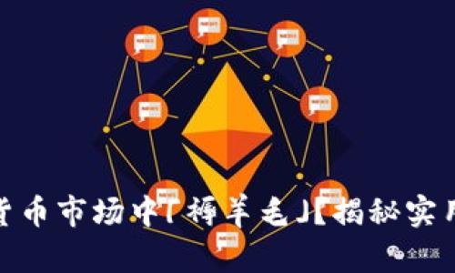 如何在加密货币市场中「褥羊毛」？揭秘实用策略与风险