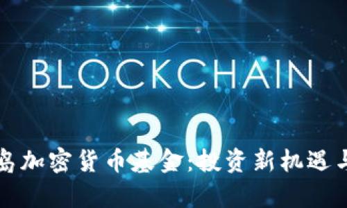 维尔京群岛加密货币基金：投资新机遇与风险分析