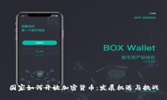 国家如何开放加密货币：发展机遇与挑战