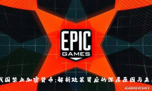 为何我国禁止加密货币：解析政策背后的深层原因与未来展望