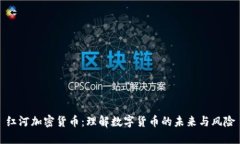 红河加密货币：理解数字货币的未来与风险