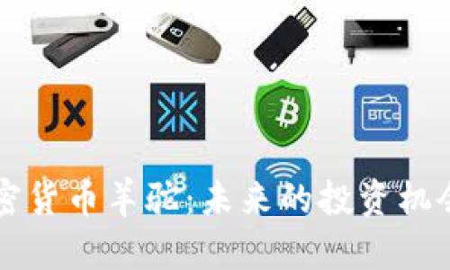 深入探讨加密货币羊驼：未来的投资机会与风险分析