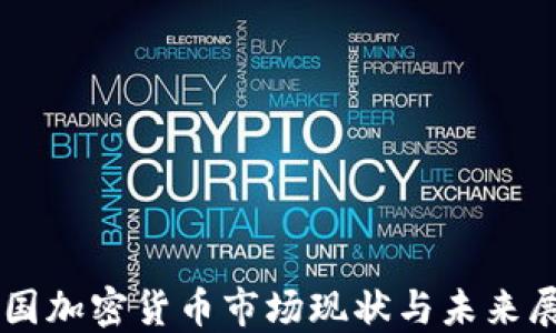 
中国加密货币市场现状与未来展望