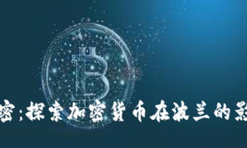 bianfang
  波兰货币加密：探索加密货币在波兰的影响及未来趋势