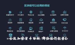 主流加密货币分析：哪些值得投资？