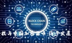 金融科技与中国加密货币：逐步发展的未来