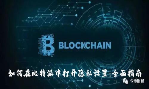 如何在比特派中打开隐私设置：全面指南