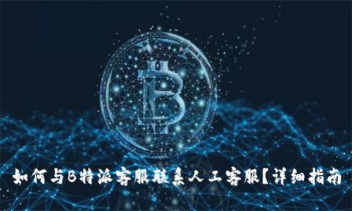 如何与B特派客服联系人工客服？详细指南