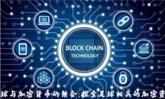 足球与加密货币的结合：探索足球相关的加密资