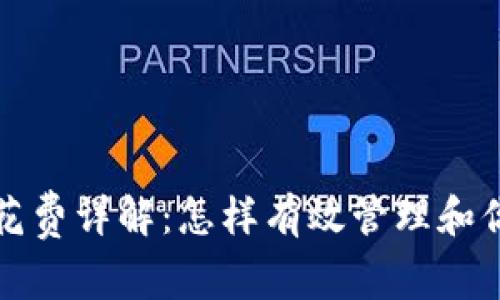 比特派带宽花费详解：怎样有效管理和你的网络开支