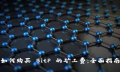 如何购买 BitP 的矿工费：全面指南