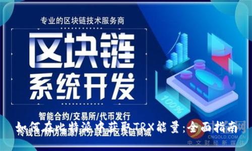 如何在比特派中获取TRX能量：全面指南