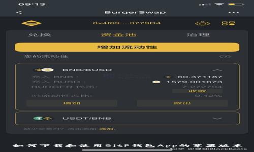 如何下载和使用BitP钱包App的苹果版本