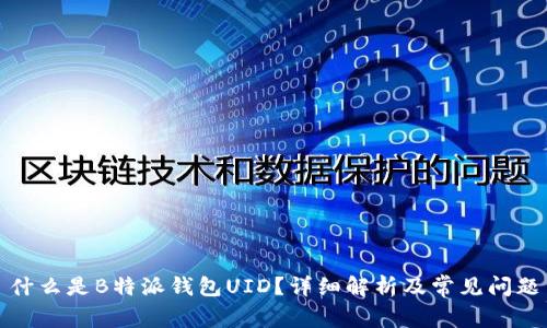 什么是B特派钱包UID？详细解析及常见问题