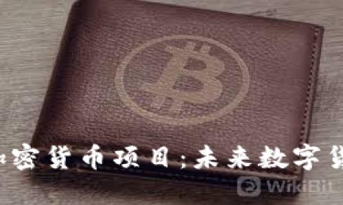 深入了解Libra加密货币项目：未来数字货币的愿景与现实