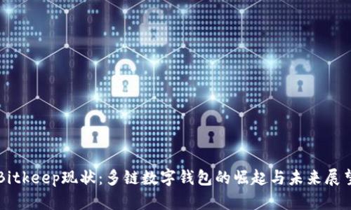 Bitkeep现状：多链数字钱包的崛起与未来展望