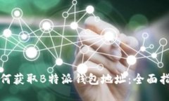 如何获取B特派钱包地址：全面指南