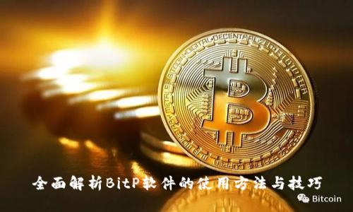 全面解析BitP软件的使用方法与技巧