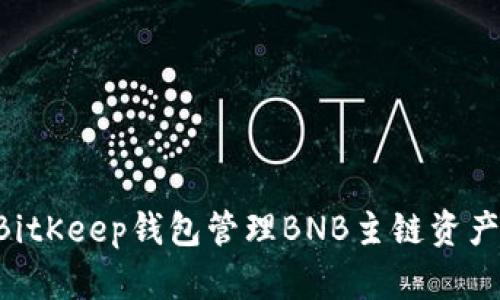 如何使用BitKeep钱包管理BNB主链资产：完整指南