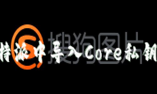如何在比特派中导入Core私钥：详尽指南