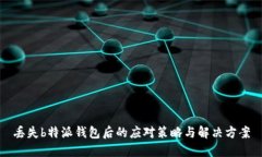 丢失b特派钱包后的应对策略与解决方案