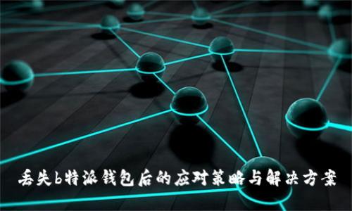 丢失b特派钱包后的应对策略与解决方案