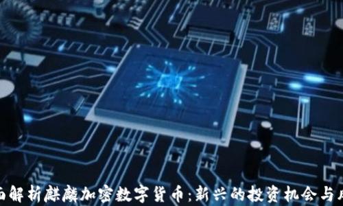 
全面解析麒麟加密数字货币：新兴的投资机会与风险