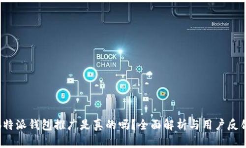 b特派钱包推广是真的吗？全面解析与用户反馈