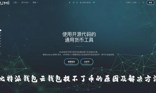比特派钱包云钱包提不了币的原因及解决方法