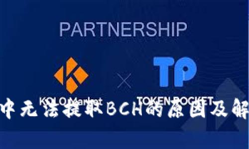 Bitpie中无法提取BCH的原因及解决方案