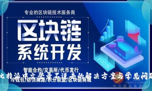 比特派中文登录不进去的解决方案与常见问题